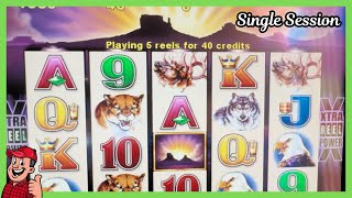 OG Buffalo Slot Machine at Meskwaki – Can $20 Roam Free