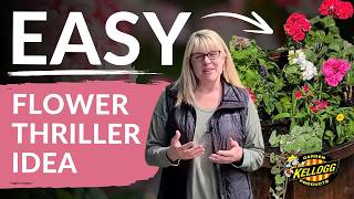 Flower Container Ideas for Color & Effect | Geranium Thriller