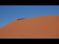 Series 1 : Episode 9 : More Sand, Hot Air, Zebra Salami