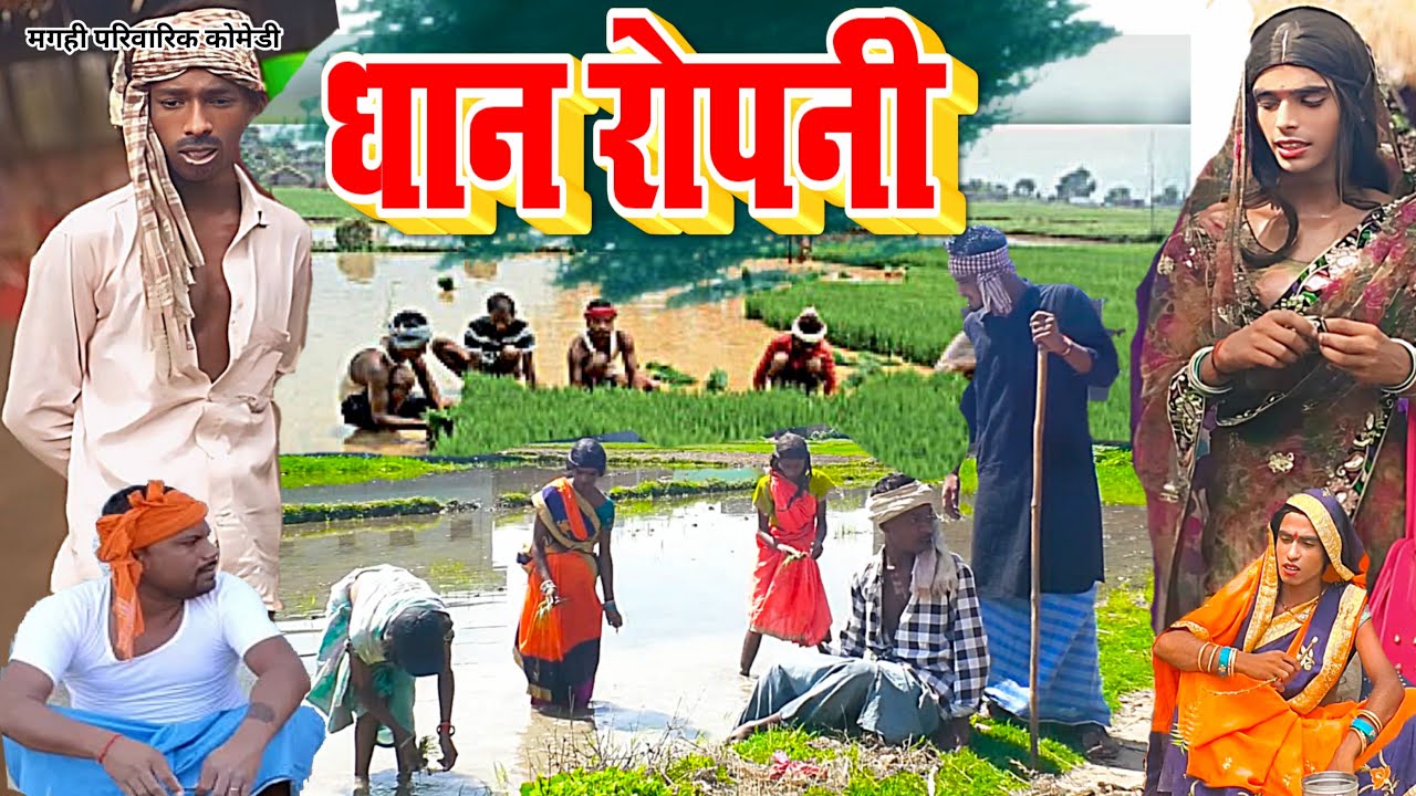 धान रोपनी [ New Comedy ] Dhan Ropani Comedy बिनेसर चाचा के पुतोह धन ...