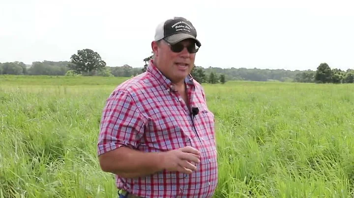 GGN Atkisson Grazing system resting fescue