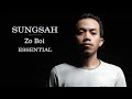 Zo boi  sungsah official lyrics   zotung love song  chin music 