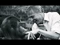 200 years of London Zoo: From Charles Darwin to David Attenborough