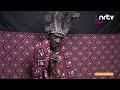 Nyaya YeCoffin Yanetsa Madii Mambofamba Nyaya YeCoffin Yanetsa Madii Mambofamba
