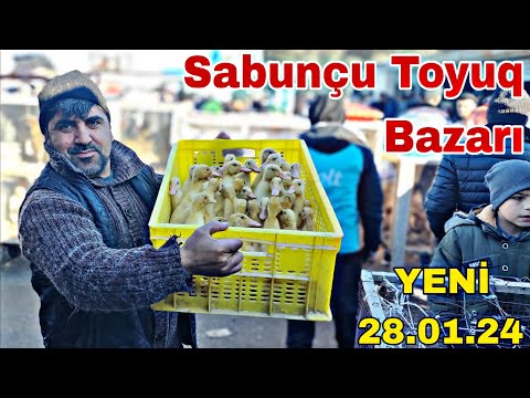 Sabunçu Toyuq Bazarı  28 yanvar 2024 ‎@mubarizemintv 