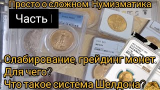 Слабирование и грейдинг монет. Система Шелдона. Часть I.