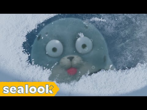 Mlem AlertㅣSEALOOKㅣEP 1 