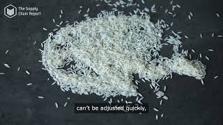 The Impact of Supply Chain Disruptions on Rice Export Prices