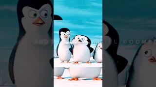 Los Pingüinos De Madagascar Edit