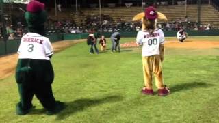 Dizzy bat race sister style