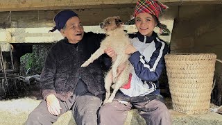 Homeless Grandmother and Child Save a Trapped Dog: A Heart of Gold in Poverty