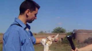 Theory of Evolution's Missing Link Finally Found!!!