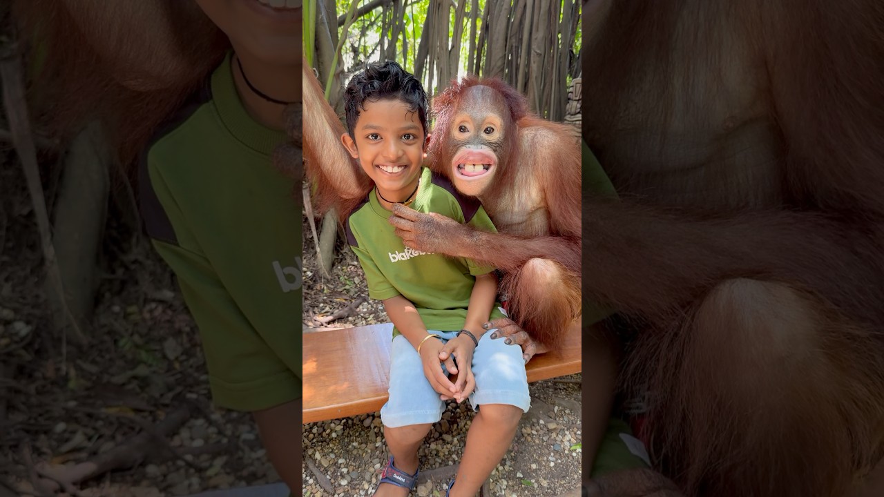 Tom 🍓 Jerry (Rithvi&Kavi)Real End Twist 🤣🎈 #shorts