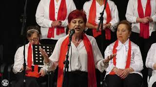 Ayli̇n Acar /Cennet / Kürdi̇