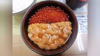 【#速報】2021.3.4① 函館は晴れ！朝食は、きくよ食堂でうに·いくら丼(^^)