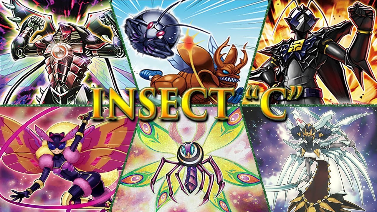 Yu-Gi-Oh Insect 