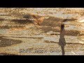 かもめの街「 ちあきなおみ」 Mayu