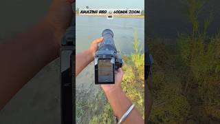 Amazing Birds Tamron 600mm Lens Zoom photography wildlife birds wildlifephotography camera