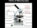 Parts Of Microscope