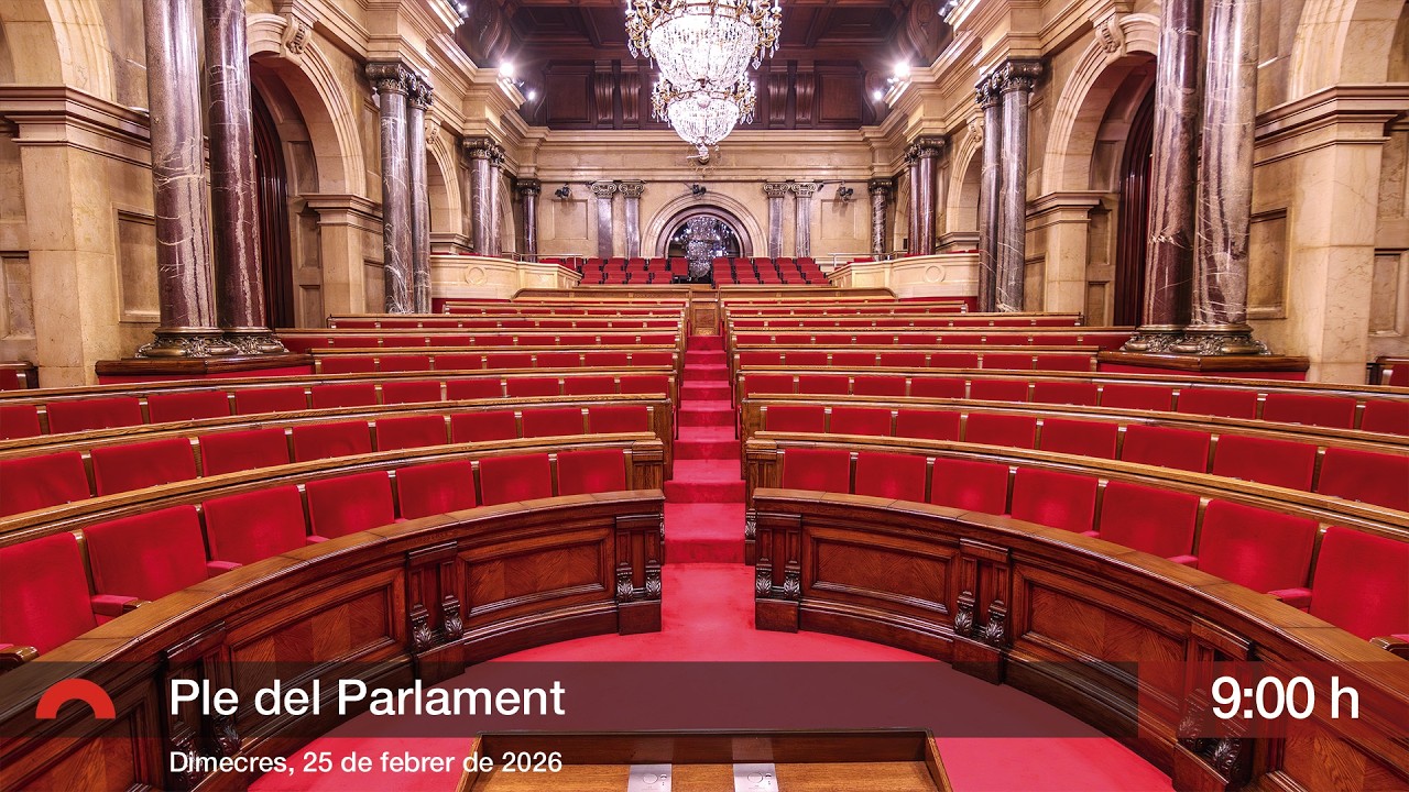 Plens 25/02/26 09:00