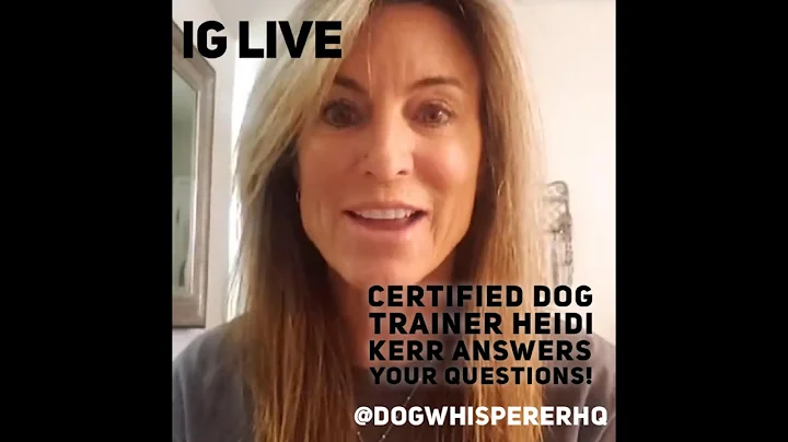 Certified Dog Trainer Heidi Kerr Answers YOUR Ques...