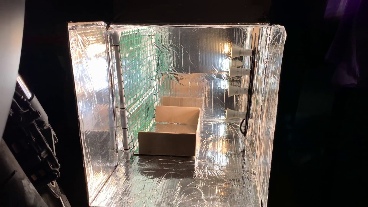 DIY Cardboard Box Micro Grow (Pics & Vids) YouTube