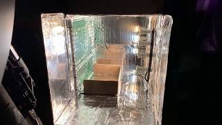 DIY Cardboard Box Micro Grow (Pics & Vids)