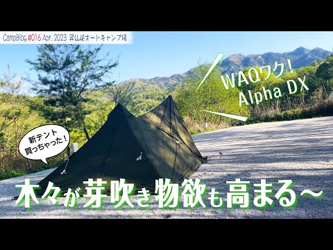 【WAQ初張りソロキャンプ】木々が芽吹き、物欲も芽吹く！新幕"WAQ Alpha TC solo DX"の初張りキャンプの様子を、NEWギア満載でお届けします！＠昇仙峡オートキャンプ場