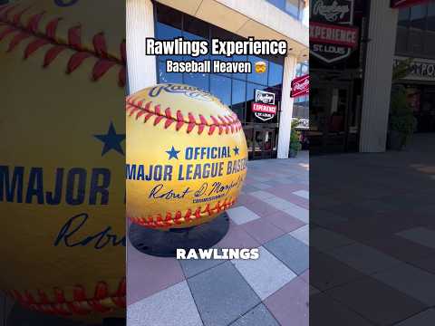 The Rawlings Experience is Baseball Heaven 🤯 #baseball