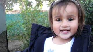 Pics 267.avi