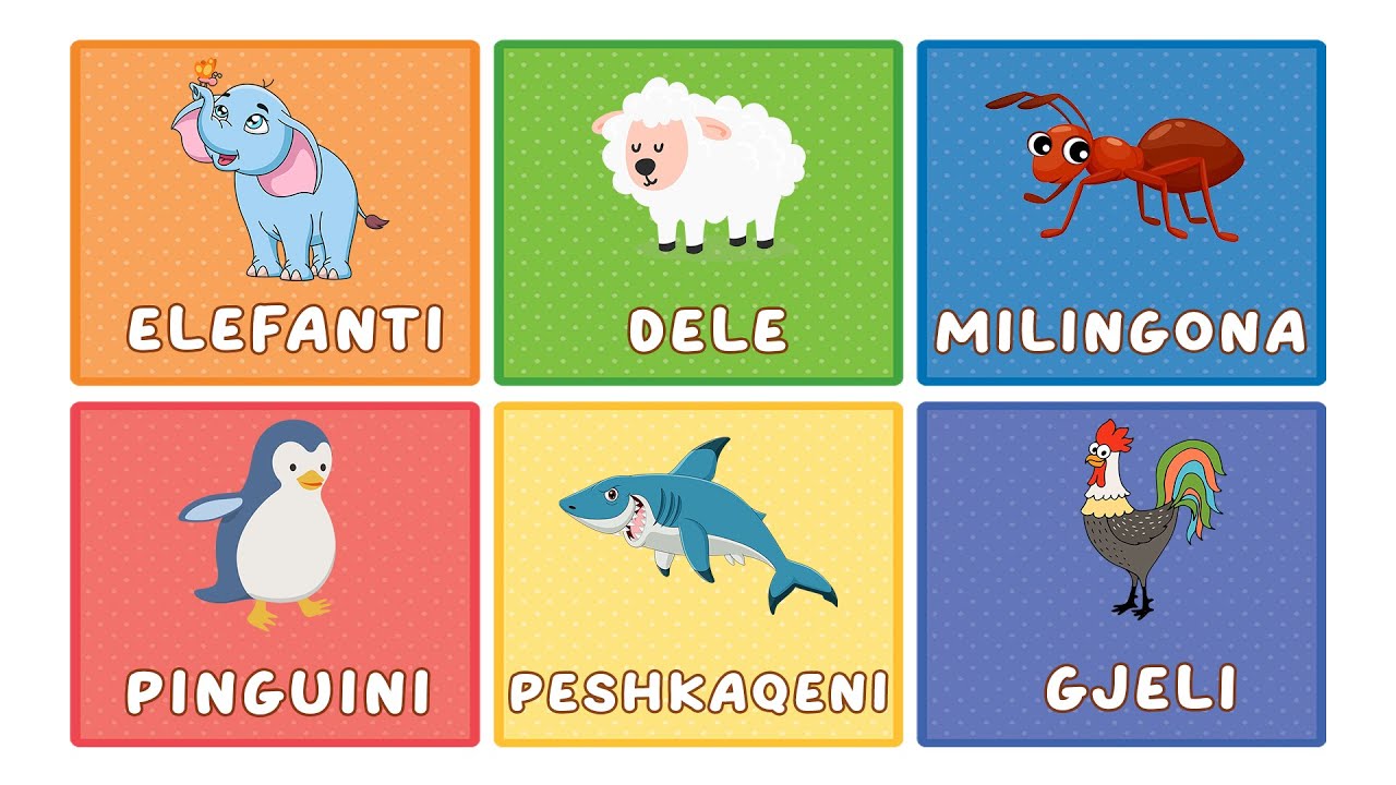 96 fjalë për fëmijë, kafshë, shpend, insekte