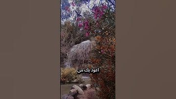 #أدعية_إسلامية #دعاء_اليوم #أذكار_الصباح #أذكار_المساء #الدعاء_المستجاب #القرآن_الكريم