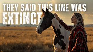 This Horse's Hip Brand Traced Back to Something Historians Thought Was Gone Forever Guide