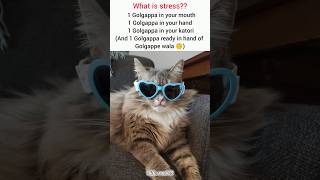 aapka stress kya h 🧐#relatable #shorts #meme #viral reels #trending #shortsfeed #jokes #comedy