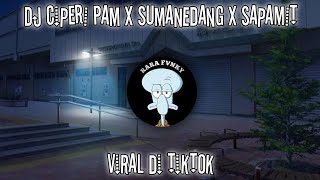 Download Lagu DJ CIPARI PAM PAM X SUMANEDANG X SAPAMIT VIRAL DI TIKTOK - TERBARU 2022 MP3