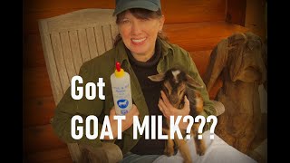 How to Bottle Feed Baby Goats: Tips for Nigerian Dwarf Kids (Beginner Guide)