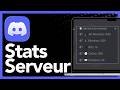 Comment afficher les statistiques du serveur avec Arcane Bot (2026)