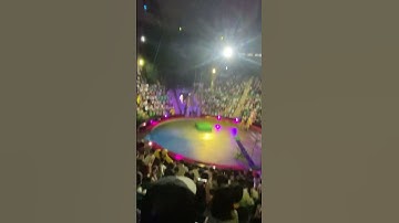 Xiếc tôn ngộ không hè 2025 biểu diễn tại rạp xiếc trung ương