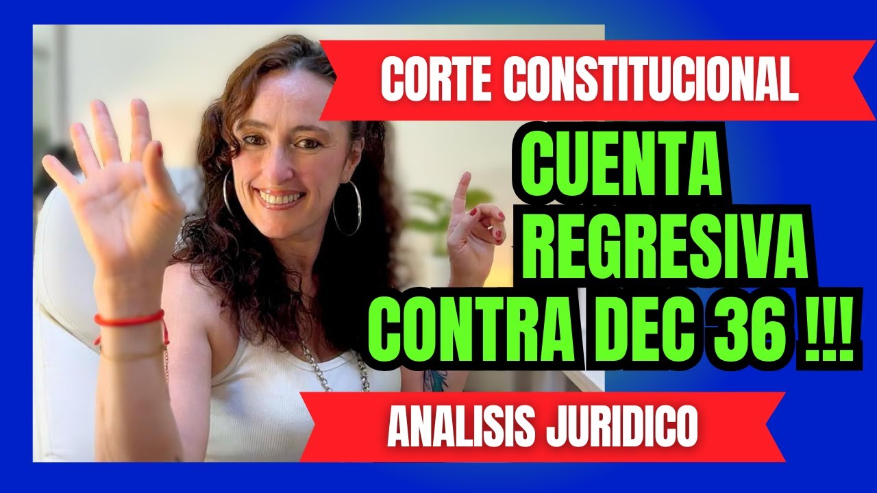 Ordenanza Turin a la Corte Constitucional