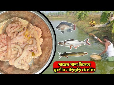 ভিডিও: হেরিং মাছের কি হাড় থাকে?