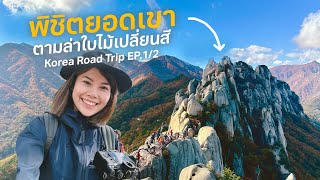 ปีนเขาคนเดียวที่เกาหลี ตามล่าใบไม้เปลี่ยนสี! (Korea Road trip EP.1/2) #เที่ยวลืมบ้าน