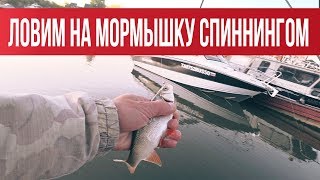 Мормышинг - Если еще не пробовали то обязательно попробуйте! | Рыбалка с Fishingsib