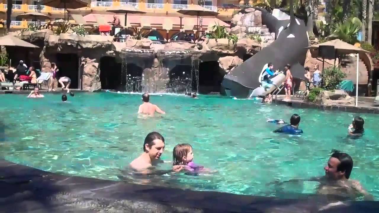emma the swimmer at villa del palmar in cabo san lucas - youtube emma the swimmer at villa del palmar in cabo san lucas - youtube
