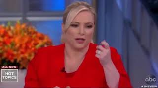 Meghan McCain Bitchslaps Elisabeth Hasselbeck!!! | Perez Hilton