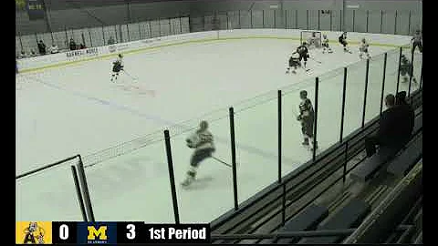 Victoria Hahn Hockey Highlights 2019-2020