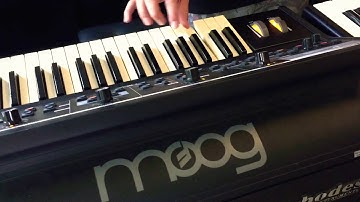 Moog Little Phatty & Novation Bass Station Comparison
