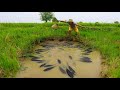 amazing fishing! a fisherman catches a lot of fish In the dry season in the fields