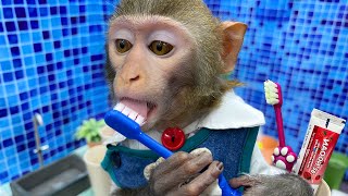 Monkey Baby Bim Bim Brush Teeth in the toilet and plays with duckling and puppy Ame is so cute