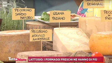 Cosa contengono i formaggi freschi?