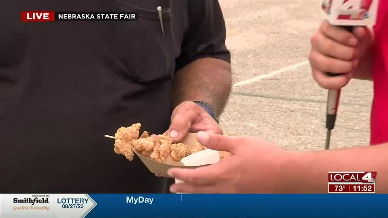 Local4 Midday LIVE at State Fair MidState Cookers YouTube